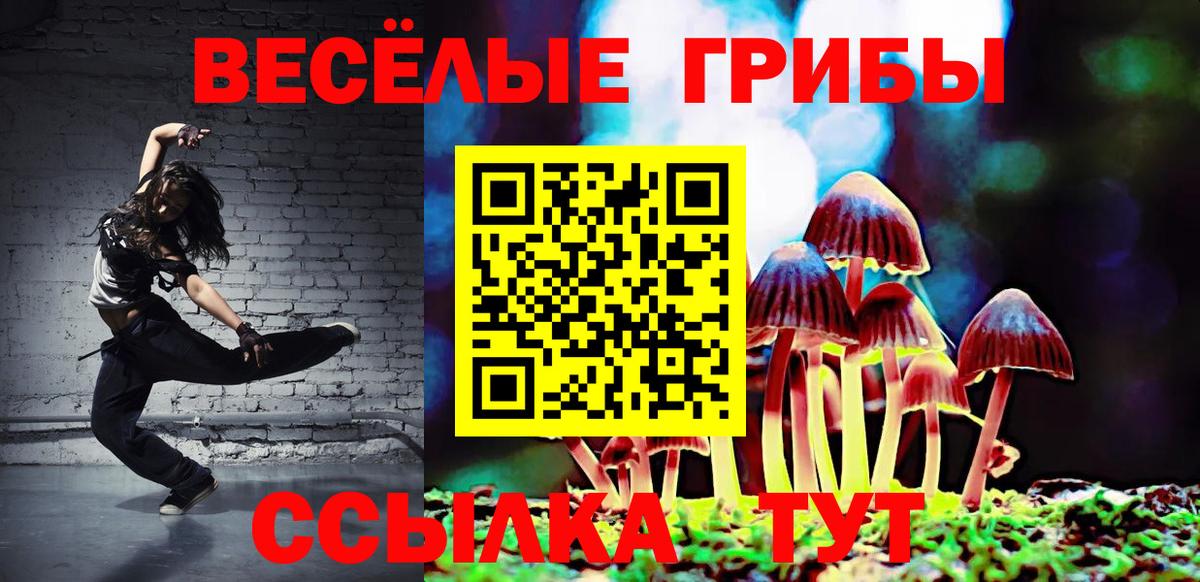 Магадан  Галлюциногенные грибы GOLDEN TEACHER  Вход с VPN  Галлюциногенные грибы GOLDEN TEACHER 